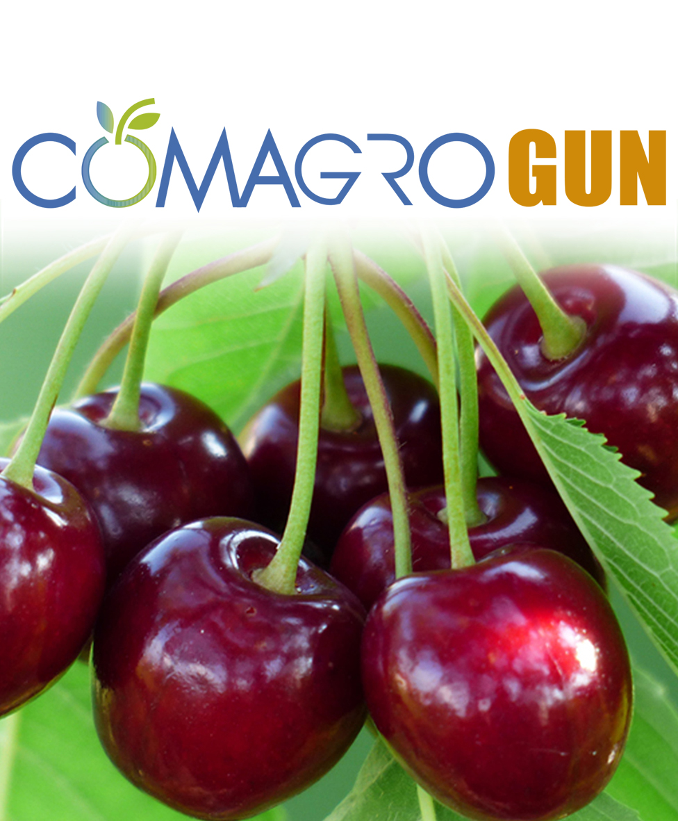 COMAGRO-GUN COD: BM-002